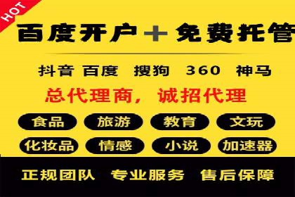 某某sem代运营公司成功案例：提高转化率